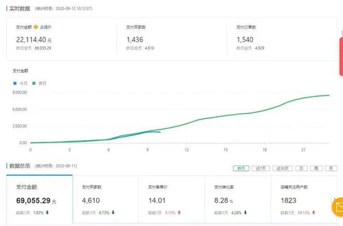 拼多多站內推廣利器 派派窩聯盟的效果分析與實戰指南